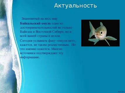 Среда обитания омуля