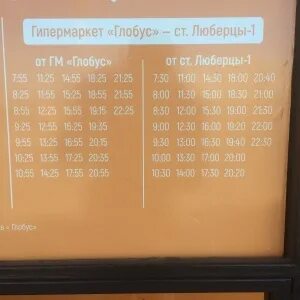 Глобус автобус. Автобус Глобус Рязань. Расписание маршрутки Глобус Новогиреево Балашиха. Автобус Глобус Новогиреево.