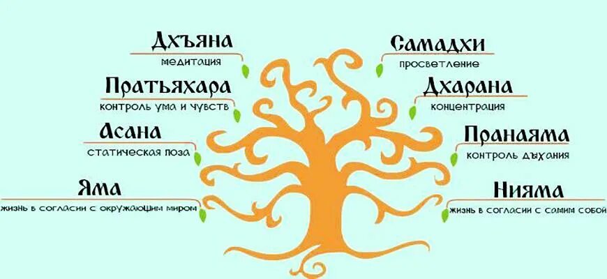 Аштанга 8 ступеней. Восьмеричный путь йоги патанджали. 8 ступеней йоги патанджали. 8 ступеней йоги книга. 8 ступеней аштанга йоги.