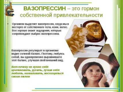 К чему приводит недостаток вазопрессина