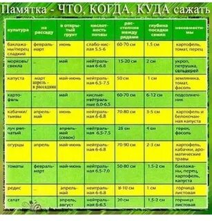 Магазин Фазенда Приглашаем в наш магазин 