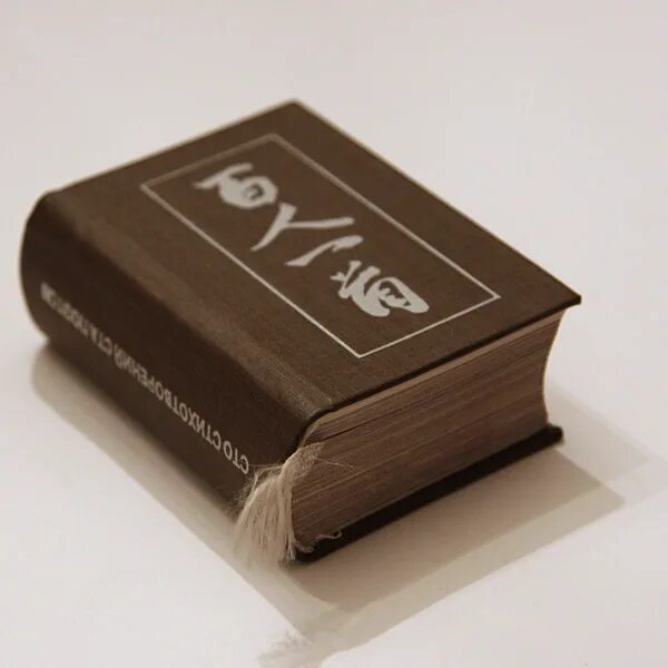 100 стихов 100 поэтов