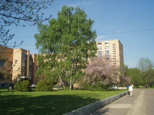 поликлиника академии наук. пущинский научный центр. институты ран в пущино. кафе зеленая зона пущино. городская больница пущино.
