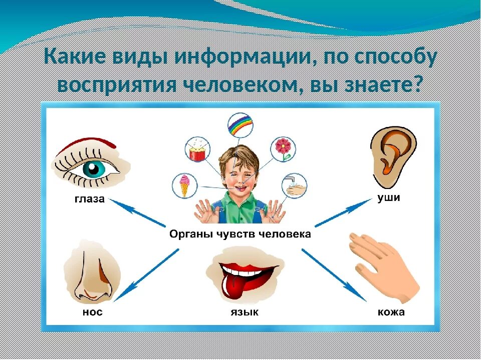 Опыты органы чувств. Способы восприятия человека. Способы восприятия информации. Способы восприятия информации человеком. Органы восприятия информации.