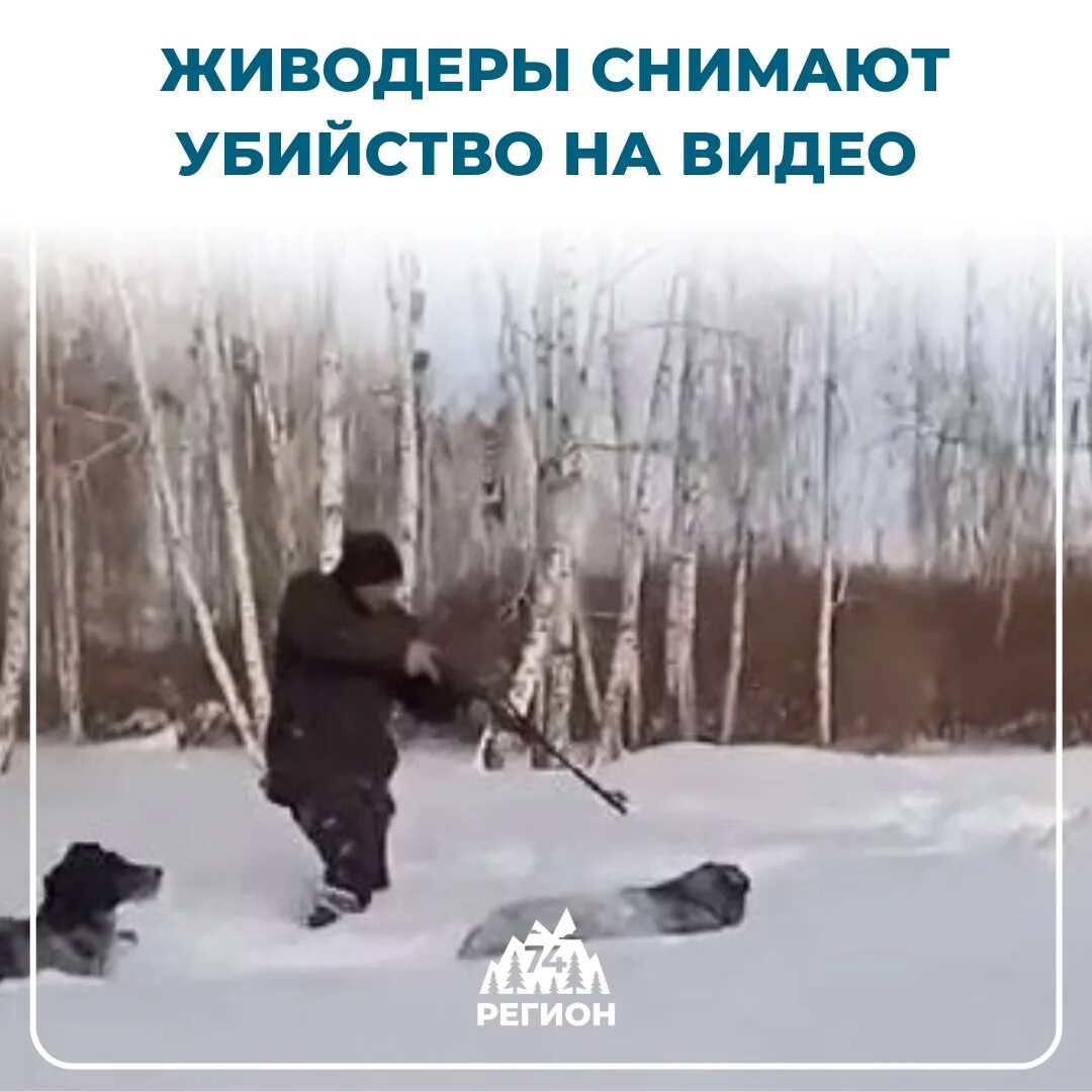 Террористы в упор расстреливают посетителей