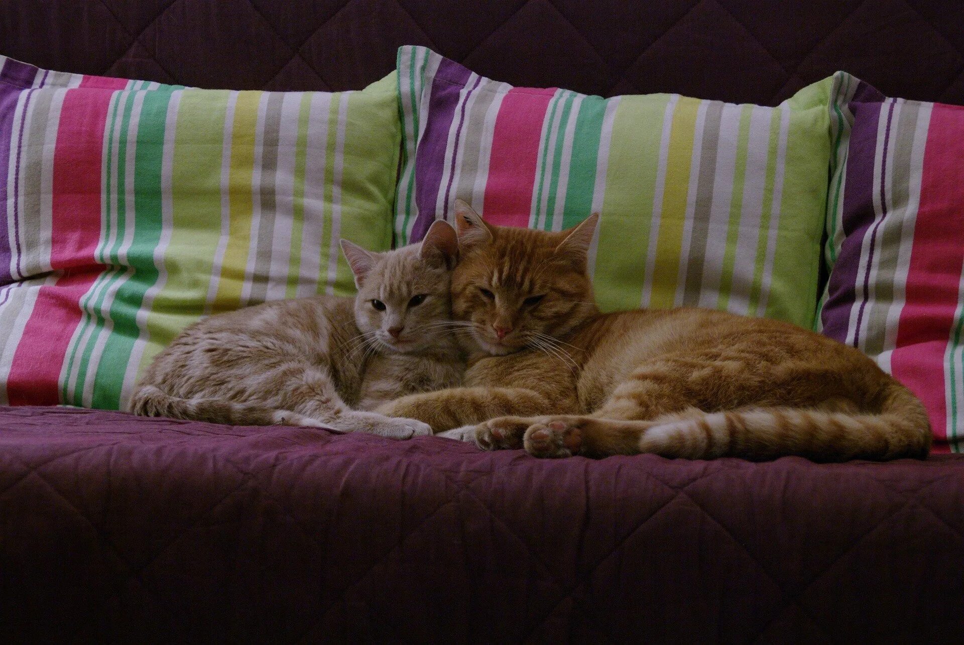 Rest together