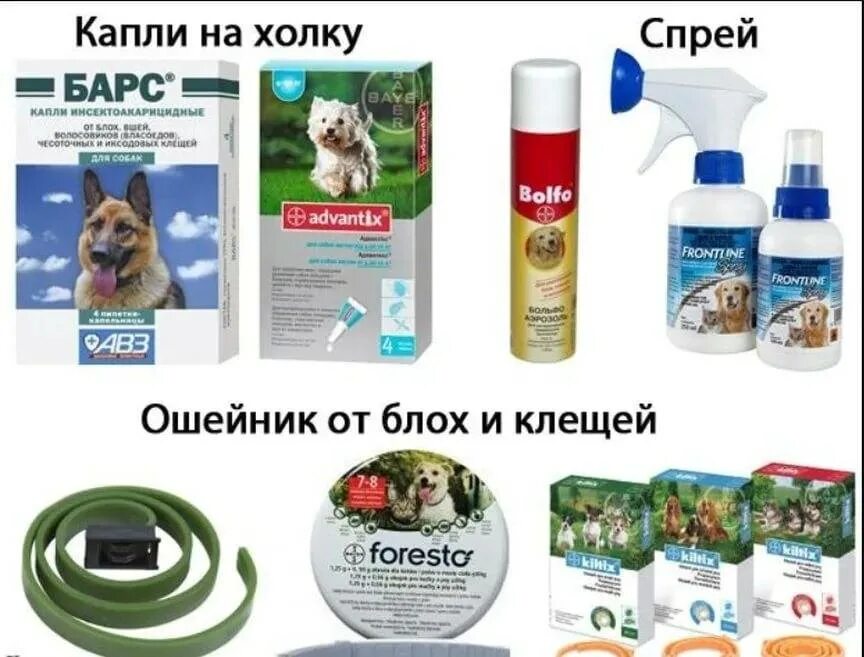 Обработка участка от клещей безопасная для животных. Средств защиты от клещей и блох для собак. обработка от клещей собак препараты. препараты для обработки собак от блох и клещей. обработка от блох и клещей собак.