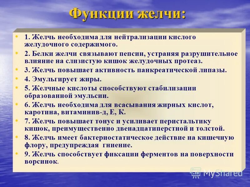 Каковы функции желчи. Каковы функции желчи