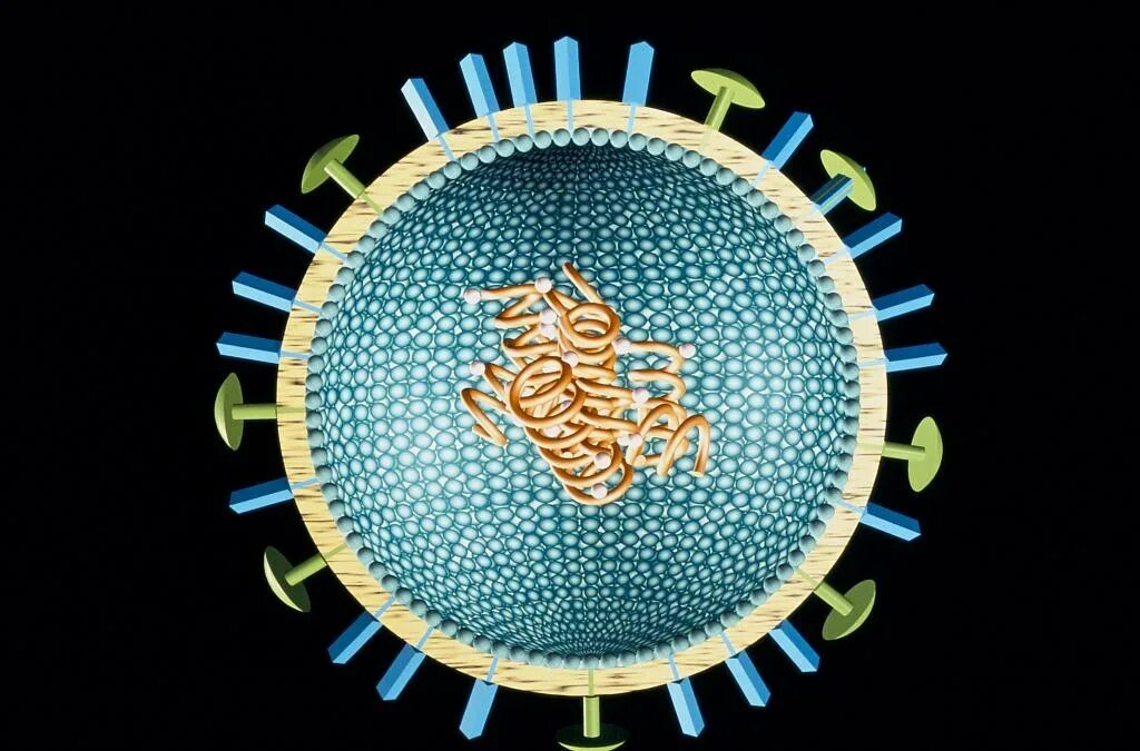 Вирус. Вирус гриппа. Вирус гриппа под микроскопом. Модель вируса. Топ гриппа