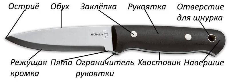 Строение ножа криминалистика. Название частей ножа криминалистика. Схема кухонного ножа криминалистика. Строение клинка ножа. Части холодного оружия