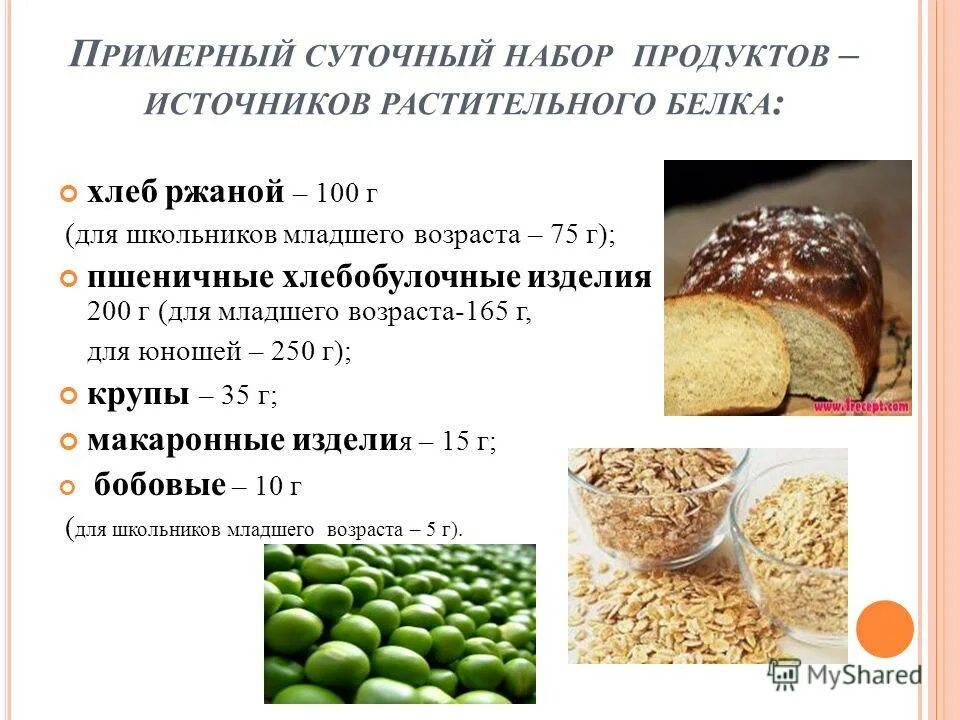 Растительные источники белка. Белок растительного происхождения. Продукты содержащие растительные белки. Белковые продукты растительного происхождения.