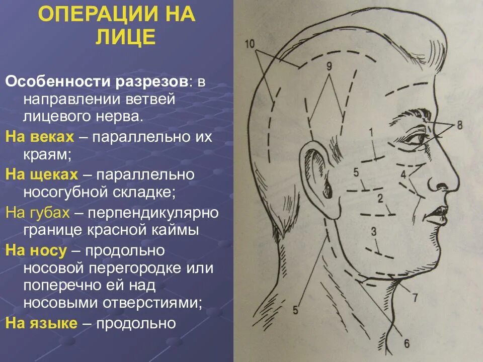 Лицевая область