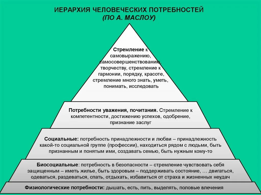 Какие потребности человек при посещении учреждений культуры