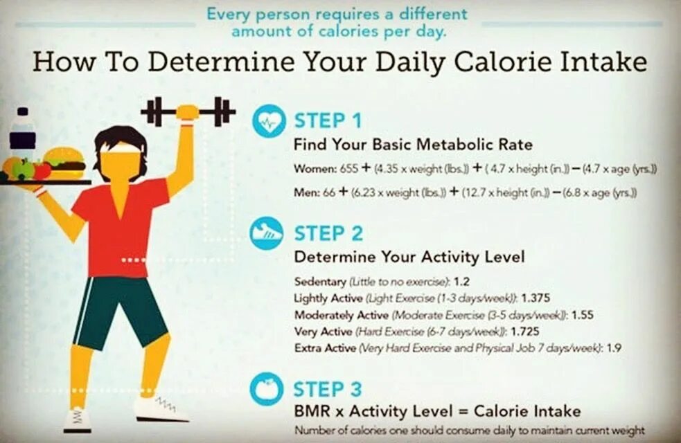 BMR калории что это. Daily Calorie Intake. Count Calories. Калькулятор калорий Икс боди билд. Basic activity