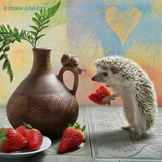 Картинки ежики хорошо