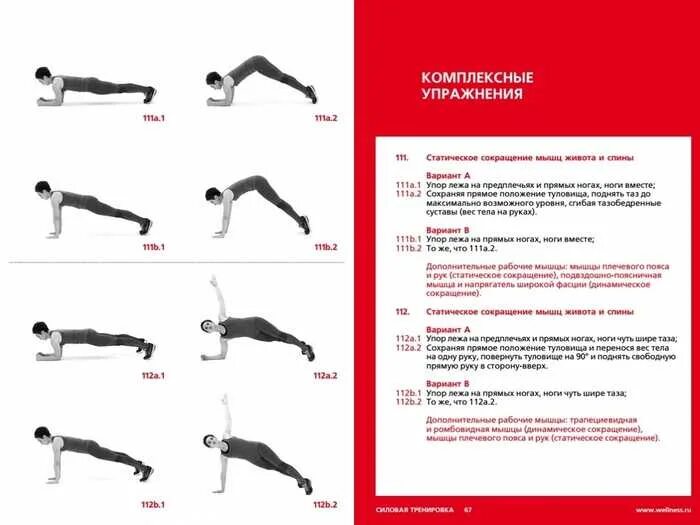 Упражнения на руки без инвентаря. Комплексные упражнения. Тренировка на спину без инвентаря. Силовое комплексное упражнение. Тест силовых упражнений