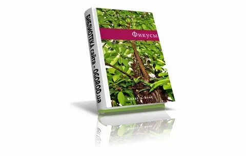 Фикус книга