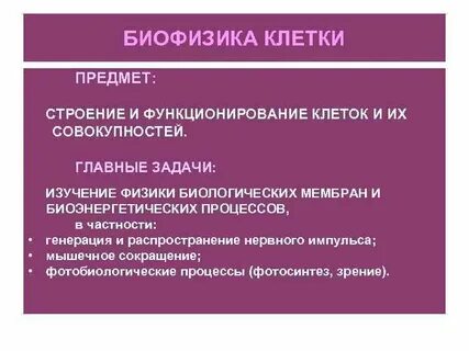 Структура объекта исследования