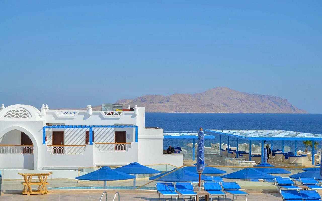 Pickalbatros palace resort ssh. Albatros palace sharm 5. albatros palace sharm 5 шарм-эль-шейх. albatros palace resort ssh 5 египет шарм-эль-шейх. египет из перми 2025 шарм аль шейх альбатрос.