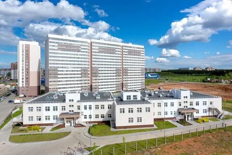 Московская 217
