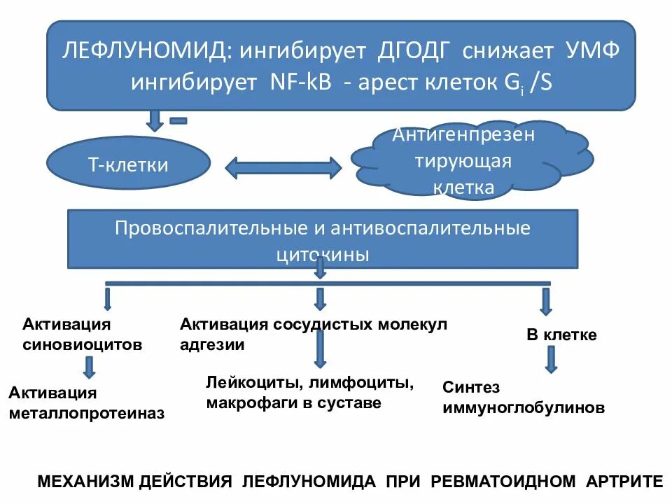 Механизм действия плазмина. Ингибирует. Ингибирующее влияние. Лефлуномид механизм действия. Антитромбин ингибирует факторы свертывания крови.