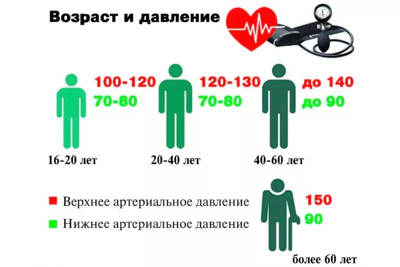 Нормальное давление в течении дня. Колебания артериального давления у здорового человека в течении дня. нормы колебания артериального давления в течение дня. суточное колебание артериального давления в норме. изменение артериального давления в течение суток.