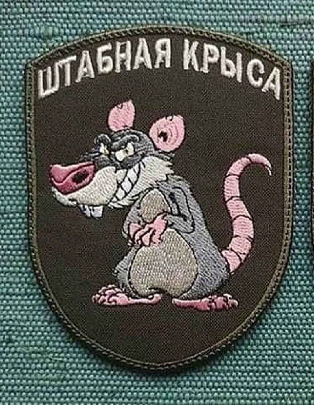 шеврон штабная крыса. нашивка с мышью. шеврон спецназа гру летучая мышь. нашивка тыловая крыса. на шевронах мышь песня.