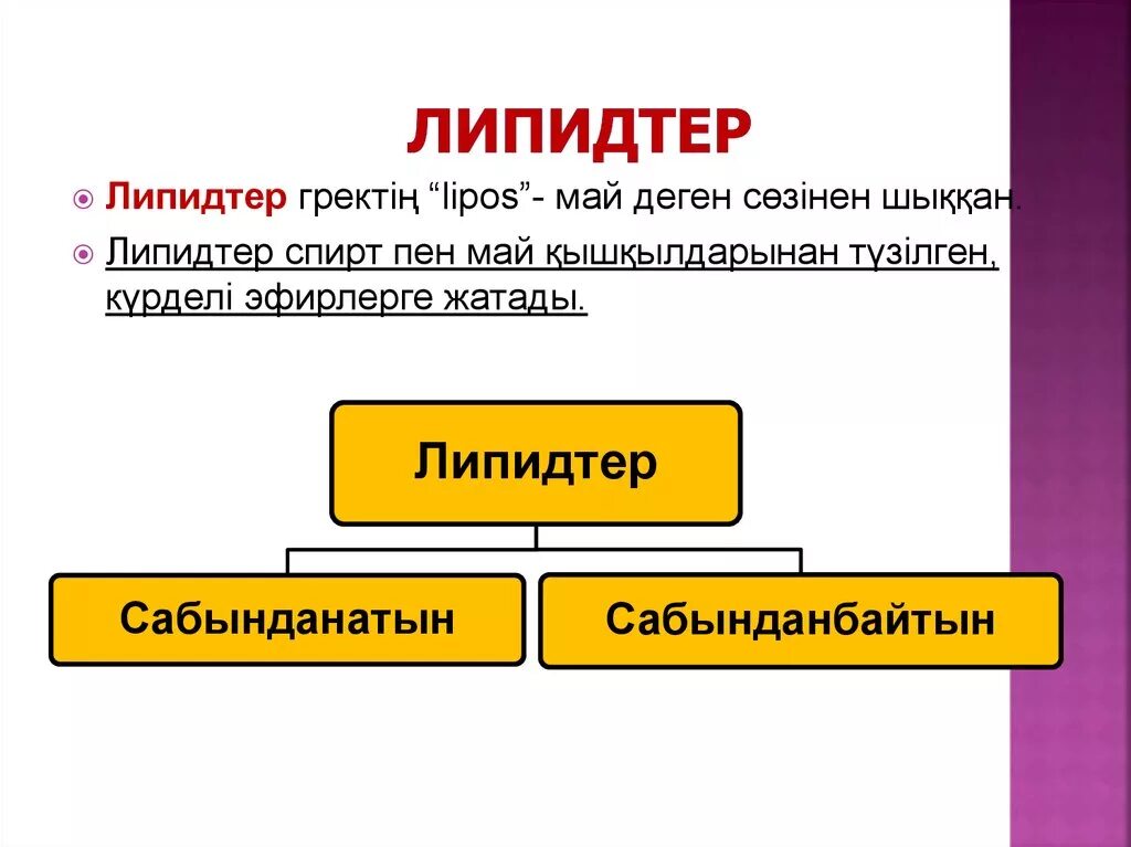 Липидтер. Липидтер дегеніміз не. Сабындалмайтын липидтер. Майлар биология.