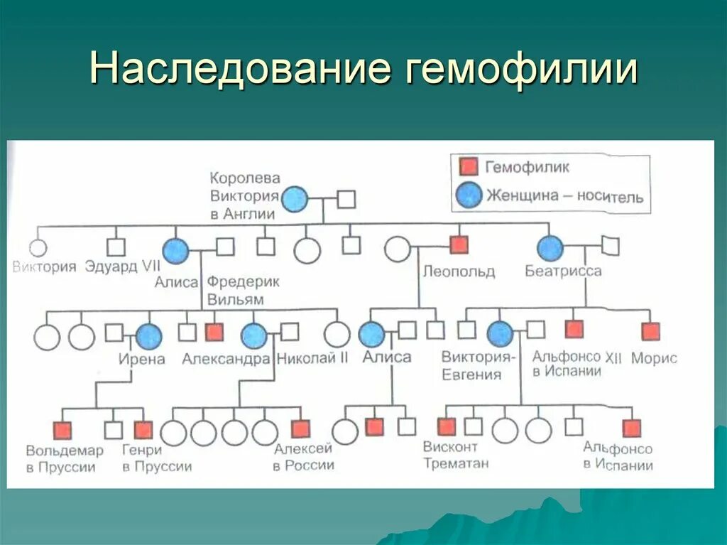 Появление гемофилии