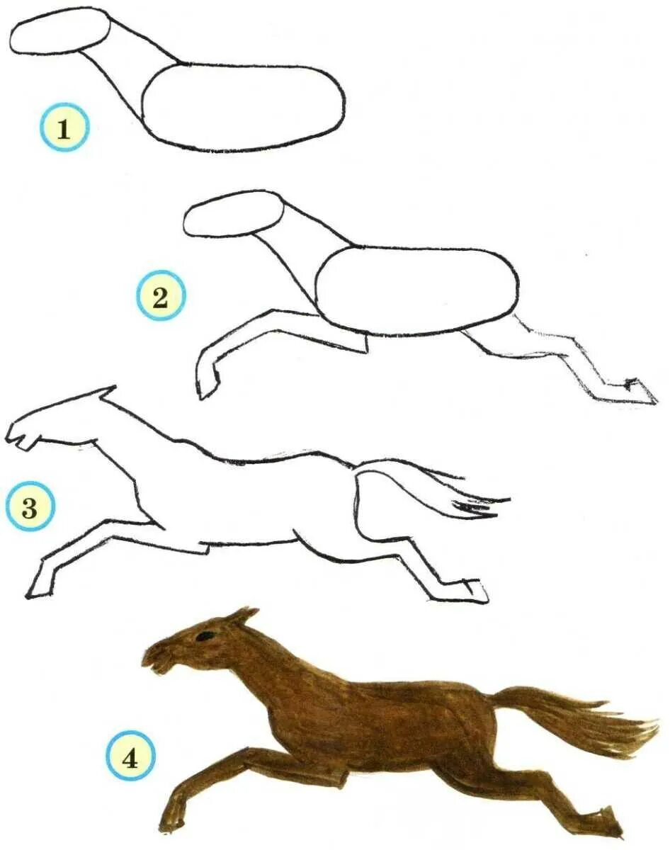 Поэтапное рисование животных. Как нарисовать коня поэтапно. Поэтапный рисунок лошади. Поэтапное рисование лошади для детей.