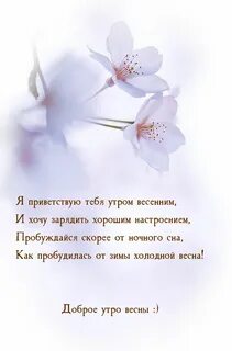 Текст весеннее утро