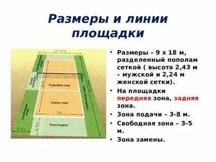 Сколько высота волейбольной сетки для женщин