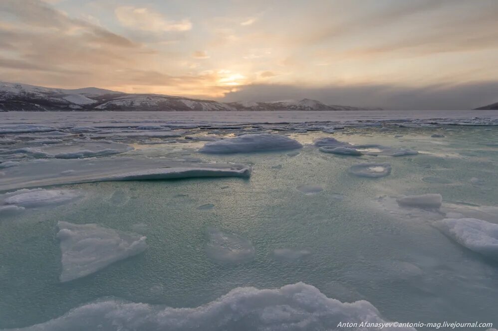 Температура воды охотское. Климат Охотского моря. Охотское море зимой. Охотск зимой. Японское море зимой замерзает.