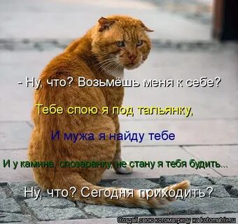 Ты хочешь меня споить