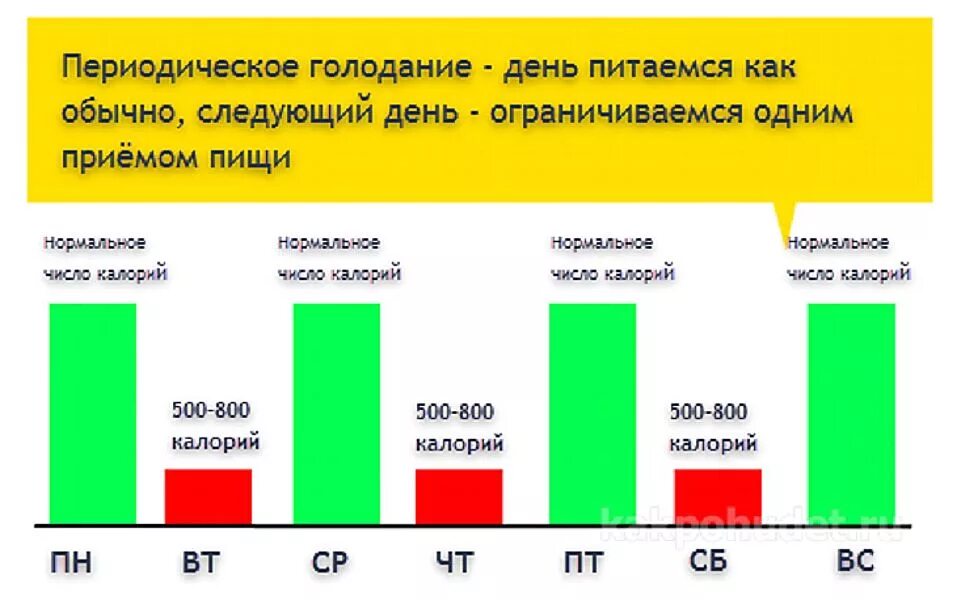 Как быстро на интервальном голодании