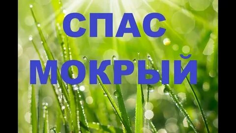 Спас 20 20