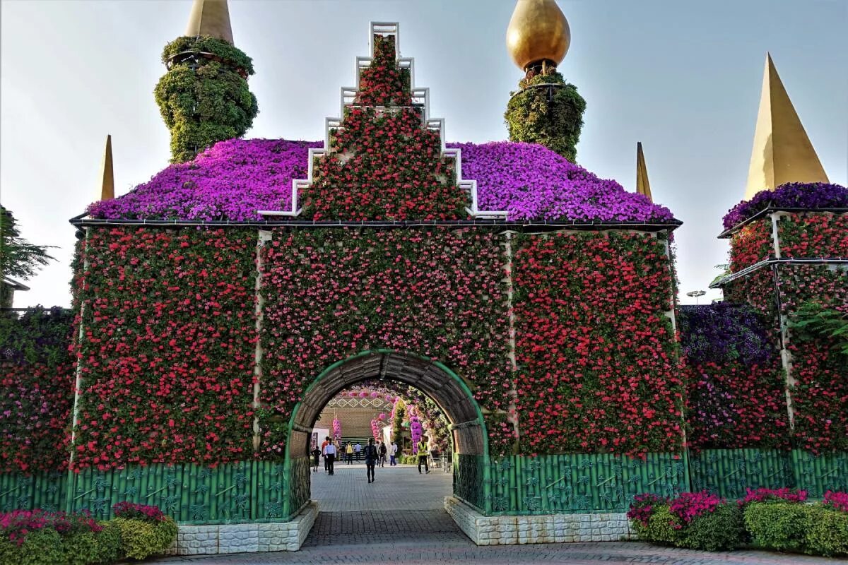 Дубайский парк. Миракл Гарден Дубай. Парк цветов Dubai Miracle Garden. Парк чудес Дубай. Парк цветов Dubai Miracle Garden (сад чудес).