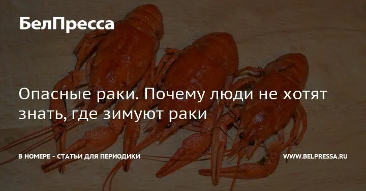 Насколько опасен рак. Рачки опасны для человека. Пословицы про онкологию.