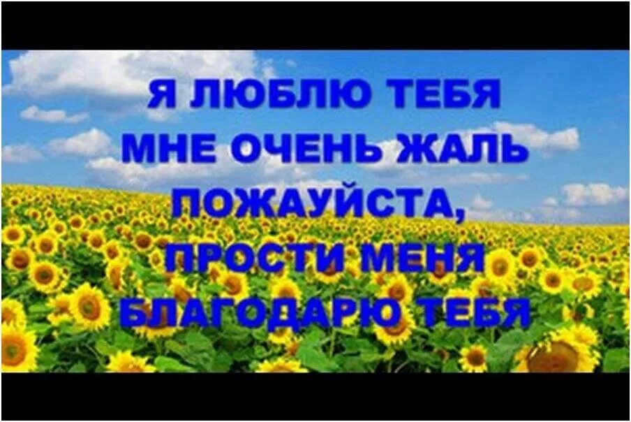 Четыре фразы Хоопонопоно. Метод Хоопонопоно. Хоопонопоно медитация. Практика Хоопонопоно. Хоопонопоно для начинающих