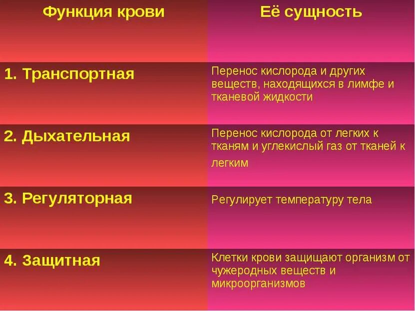 8 функций крови. Функции крови. Функции крови таблица. Функции крови в организме. Функции крови в организме человека таблица.