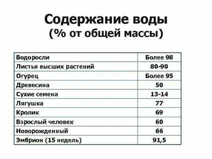 Содержание водоснабжения