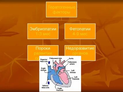 Гаметопатия