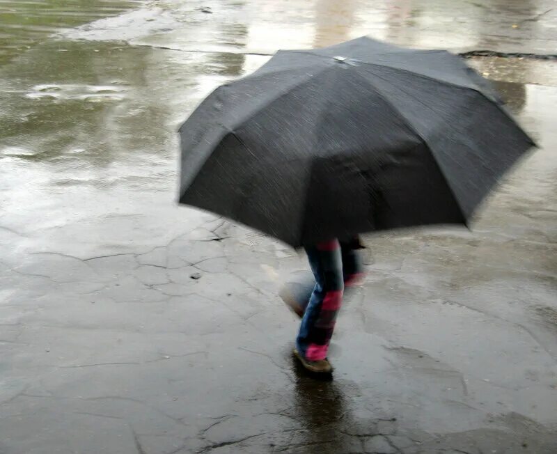 сегодня пойдет дождь. сегодня будет дождь. город липецк потоп. сегодня пойдет дождь. сегодня пойдет дождь.