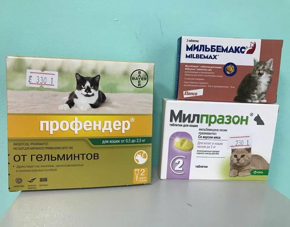 Как давать глистогонное. Таблетки от глистов для котят 2 месяца. глистогонное средство для кошек таблетки. дегельминтизация кошек препараты. глистогонные таблетки для котят.