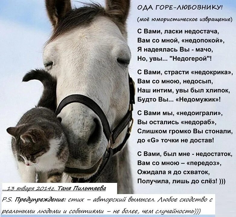 Смешной стих животных. Стихи для возлюбленной. смешные стишки про животных. юмористические стихи о животных.