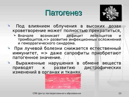 Патогенез лучевой болезни патофизиология