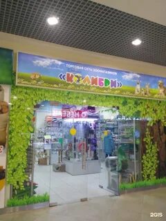 Колибри сыктывкар