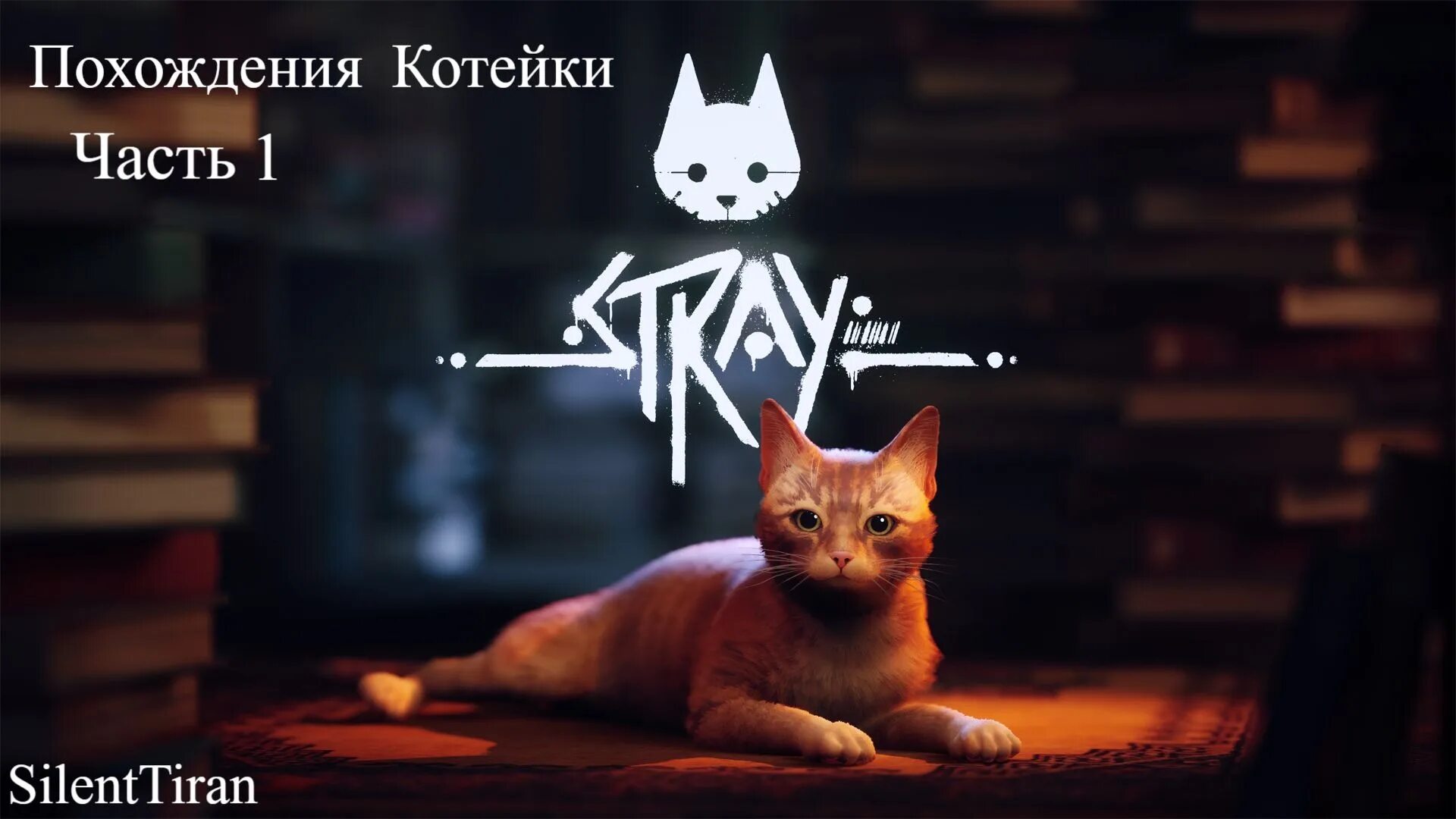 Коты иг
