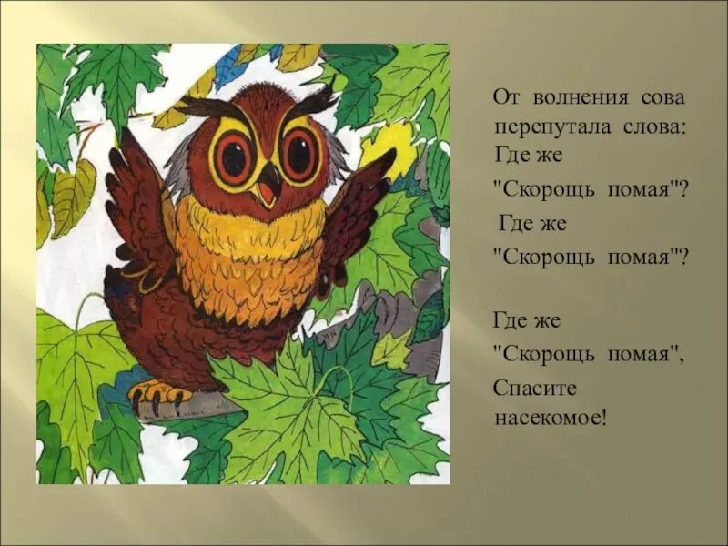 Текст про сову. Слова на ова. Слово Сова. Девиз про сову.