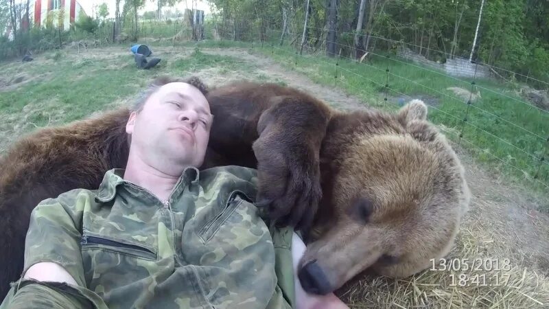 Живого медведя видео. Медведь в обнимку с человеком. Парни в обнимку с медведем. Прирученный медведь. Медведь в обнимку с мужиком.